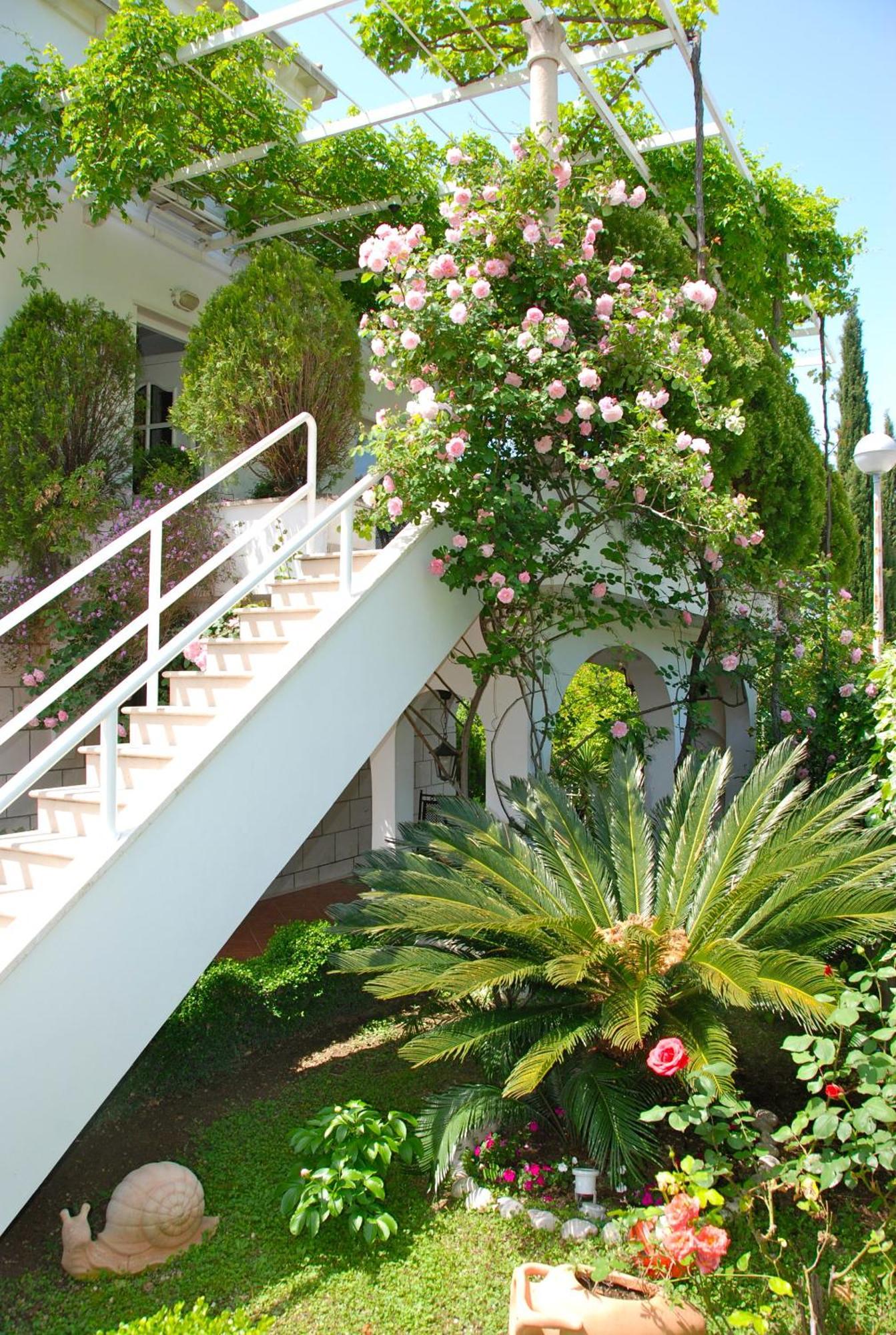 Villa Mediterranea มลินี ภายนอก รูปภาพ