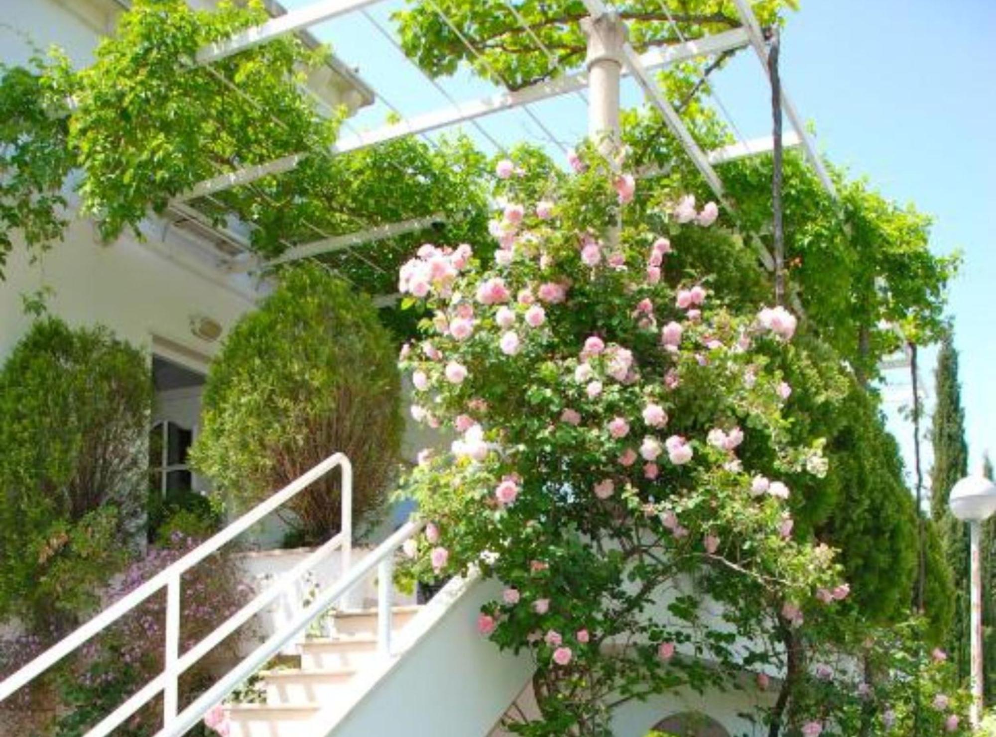 Villa Mediterranea มลินี ภายนอก รูปภาพ
